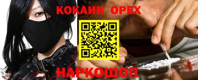 крисы Камышлов