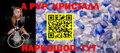 крисы Камышлов