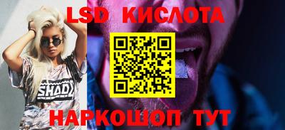 spice Кандалакша