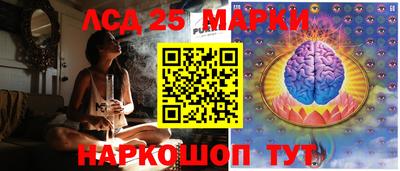 крисы Камышлов