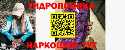 крисы Камышлов