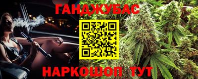 крисы Камышлов