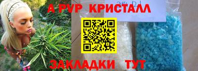 крисы Камышлов