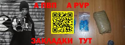 крисы Камышлов
