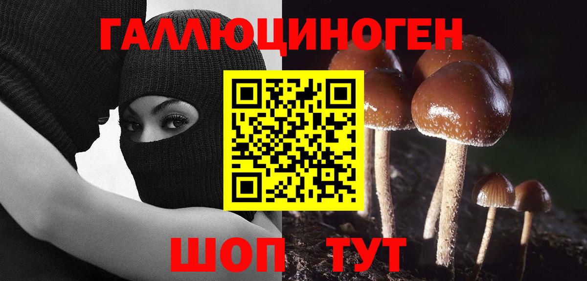 Псилоцибиновые грибы Cubensis  Вход с VPN  магазин продажи наркотиков  Улан-Удэ 